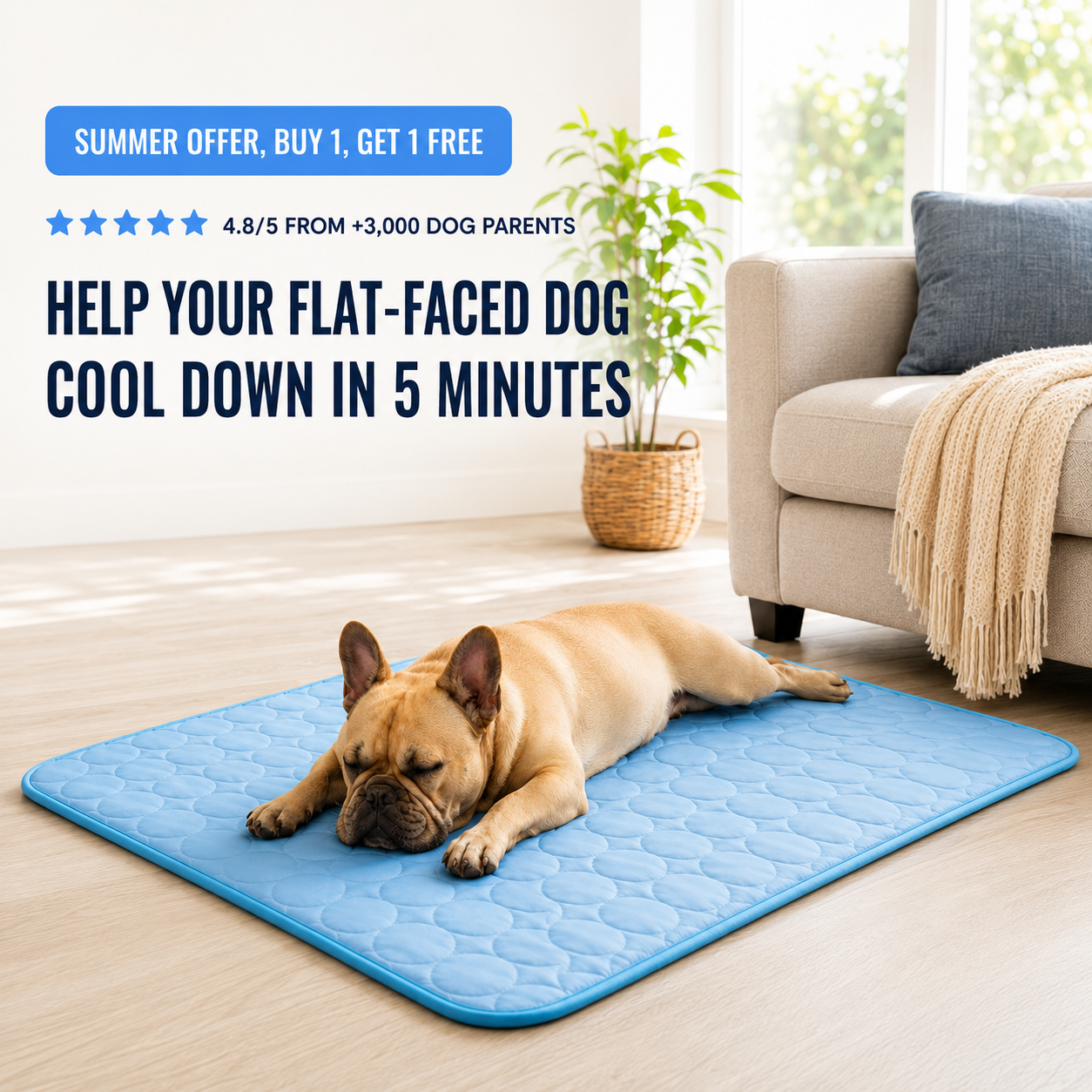 CoolRest Helps Your Dog Cool Down In 5 Minutes