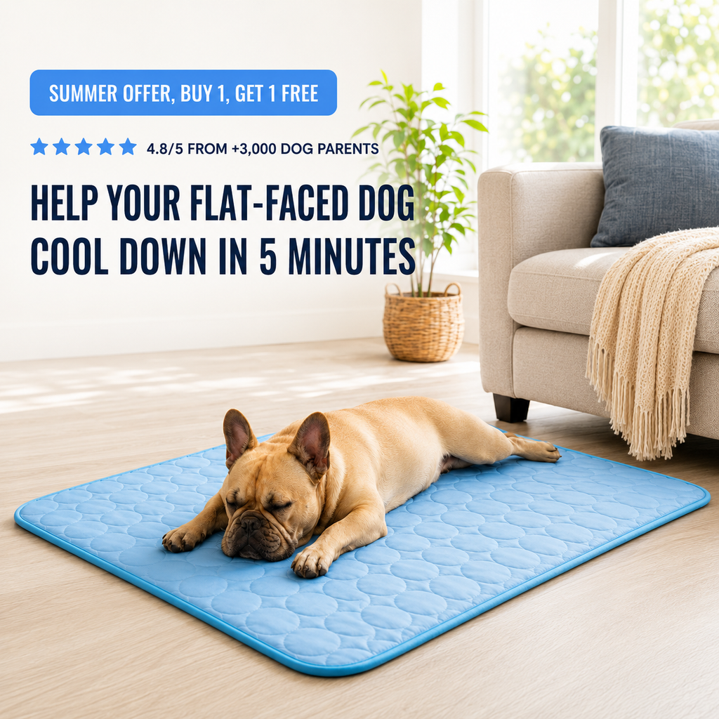 A French Bulldog resting on a CoolRest mat