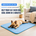 A French Bulldog resting on a CoolRest mat